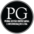 Penna Gestão  e Consultoria